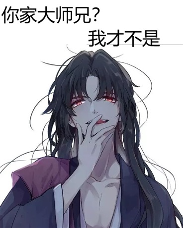 你家大师兄我才不是