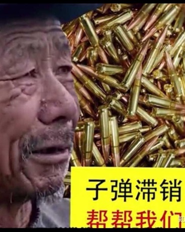 我不是作业神