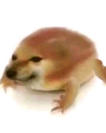 P神教万岁